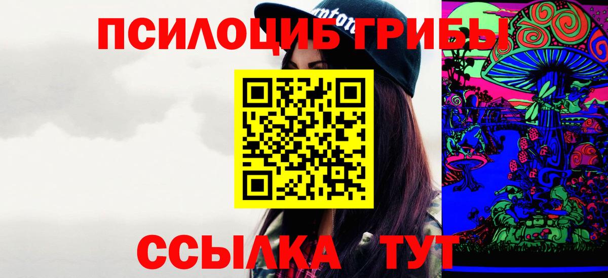 Псилоцибиновые грибы Psilocybe  Вход с VPN  Клинцы 